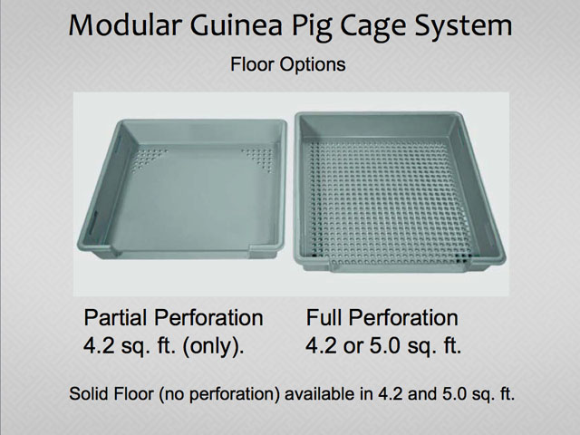 guinea pig tray